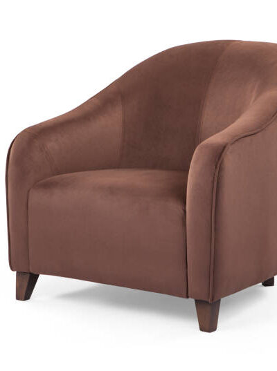 Armchair isolated on white background .